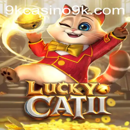 The Enigmatic World of LuckyCatII and the 9k Casino Phenomenon