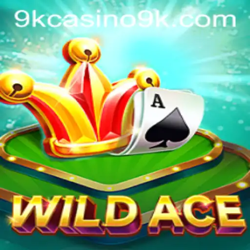 Exploring WildAce: A New Frontier in the 9k Casino Realm
